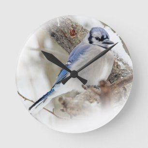 Relógio Redondo Blue Jay na neve do inverno