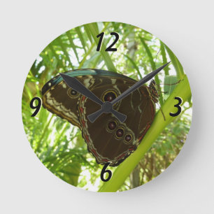 Relógio Redondo Blue Morpho Butterfly - Fotografia da natureza tro