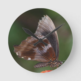 Relógio Redondo Borboleta Branca e Marrom em Flor Vermelha