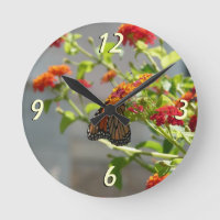 Borboleta Monarca em Borboleta Vermelha Bush