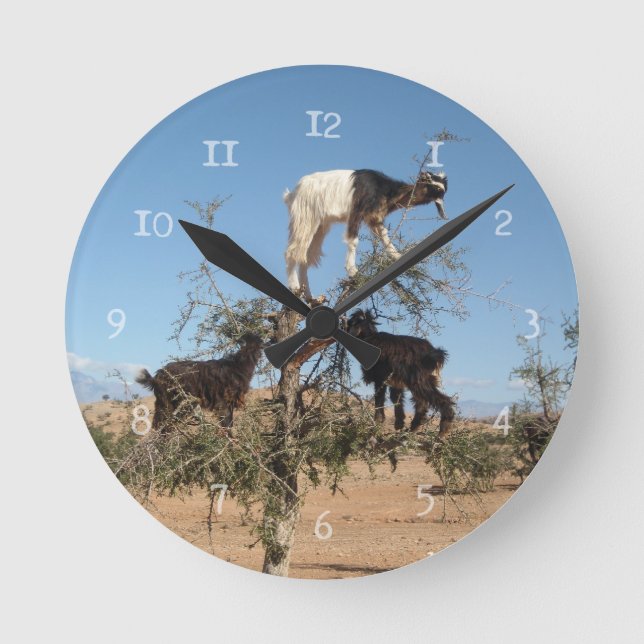 Relógio Redondo Cabras engraçadas numa árvore (Frente)