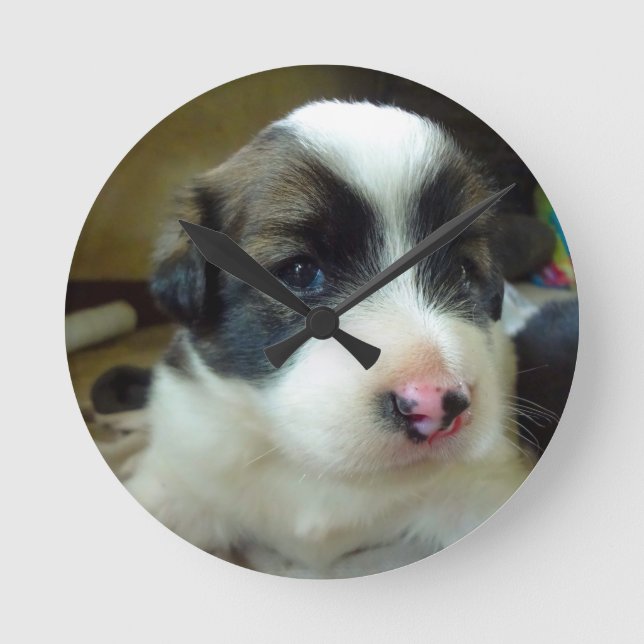 Relógio Redondo Cachorro Muito Jovem Parecendo Fofo (Frente)