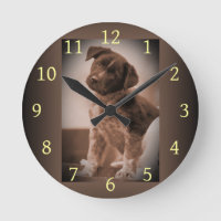 Cão de Bovinos Australiano ~ Cachorro ~ Mascot 194
