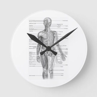 Relógio Redondo Carta humana da anatomia