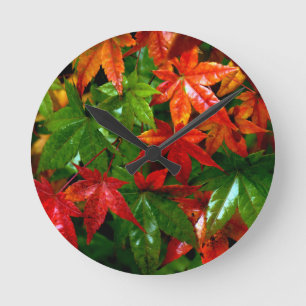 Relógio Redondo Chuva do outono