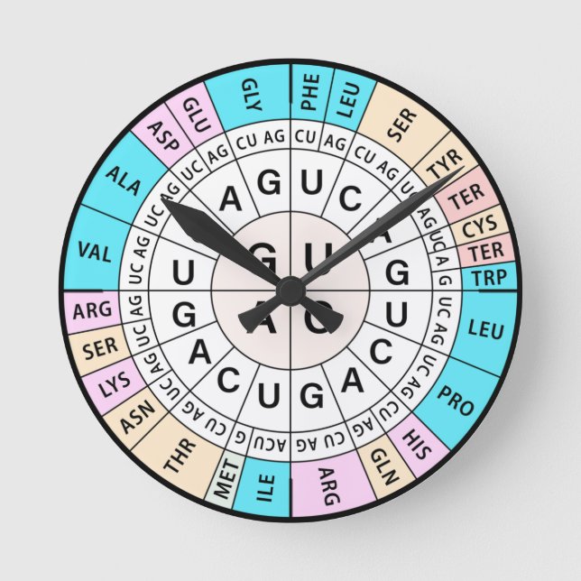 Relógio Redondo Codon Chart Genetic Code (Frente)