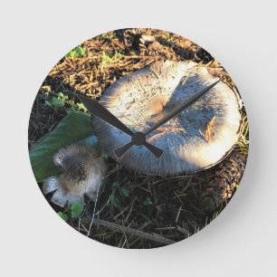 Relógio Redondo Cogumelos, Oregon