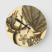 Coleção Neutral de Cascas e Corais