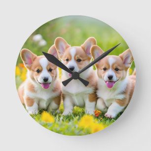 Relógio Redondo Corgies tocando na grama