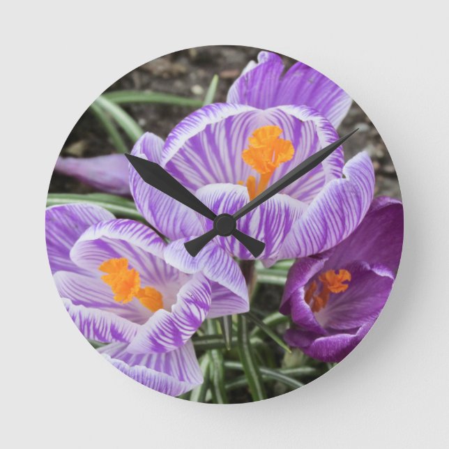Relógio Redondo Crocos Primavera roxos. (Frente)
