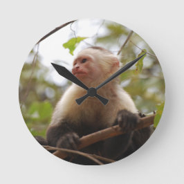 Relógio Redondo Curioso Macaco Capuchinho, Macaco Costarriquenho