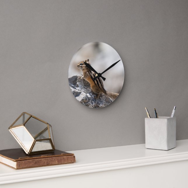 Relógio Redondo Curious Brown Chipmunk in Alberta (Escritório)