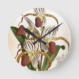 Relógio Redondo Cyprepedium Stonei Vintage Lindenia Orchid