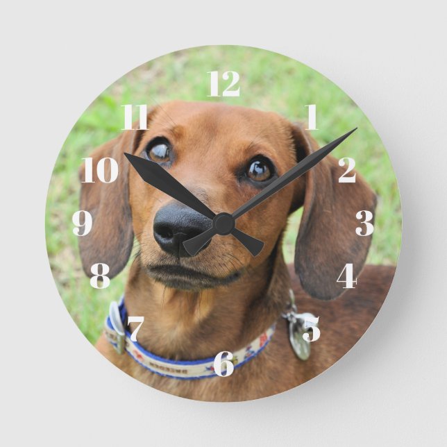 Relógio Redondo Dachshund (Frente)