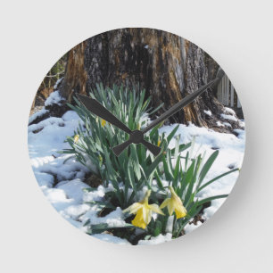 Relógio Redondo Daffodils amarelos na neve
