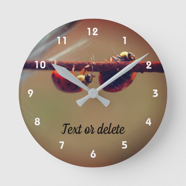 Relógio Redondo Damybugs Balanceando Fechamento Personalizado (Frente)