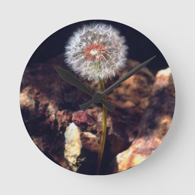 Relógio Redondo Dandelion (Frente)