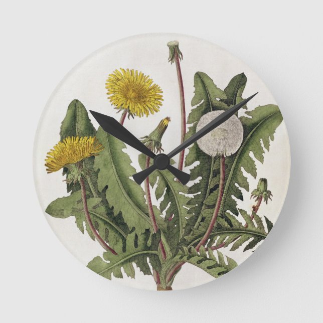 Relógio Redondo Dandelion (colour engraving) (Frente)