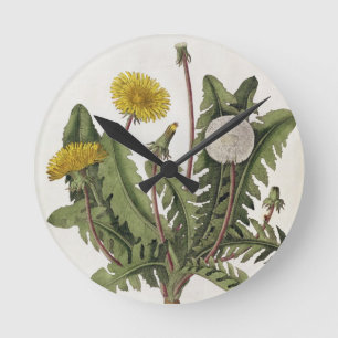 Relógio Redondo Dandelion (colour engraving)