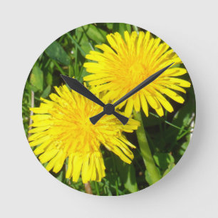 Relógio Redondo Dandelions