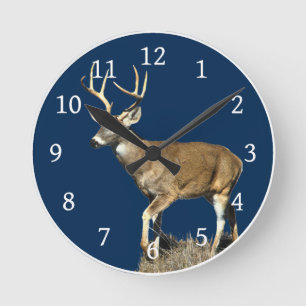 Relógio Redondo Deer Buck Branco