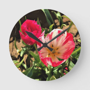 Relógio Redondo Dentro a Tulipa Rosa e Branca