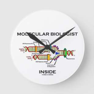 Relógio Redondo Dentro de Biólogo Molecular (Replicação de DNA)