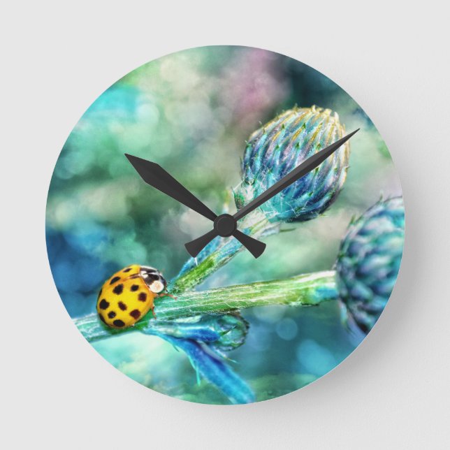 Relógio Redondo Der Marienkäfer (Frente)