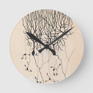 Relógio Redondo Desenho De Vintage Neuron Por Santiago Ramón y Caj