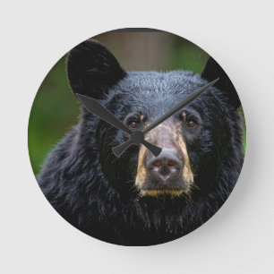 Relógio Redondo Design de Natureza Selvagem de Urso Negro