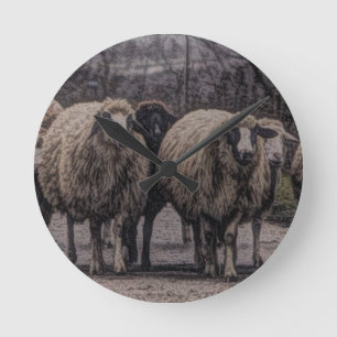Relógio Redondo Efetivo fazenda de ovelhas de fazenda rodoviária r