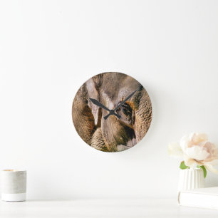 RELÓGIO REDONDO ELEFANTE