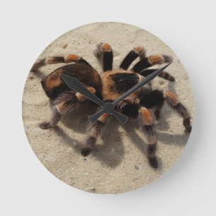 Relógio Redondo Envenenamento tarantula brachypelma vermelho-joelh