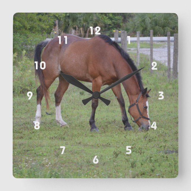 Relógio Redondo equídeo castanho e equino branco (Frente)