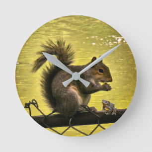 Relógio Redondo Esquilo-cinzento-oriental (Sciurus carolinensis)