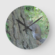 Esquilo "Peek A Boo" -