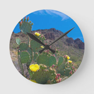 Relógio Redondo EUA, Arizona. Cactus Nas Colinas