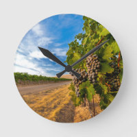 EUA, Washington, Vale de Yakima. Uvas Merlot