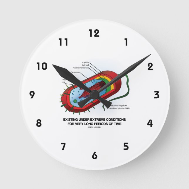 Relógio Redondo Existente Em Condições Extremas Muito Tempo (Frente)