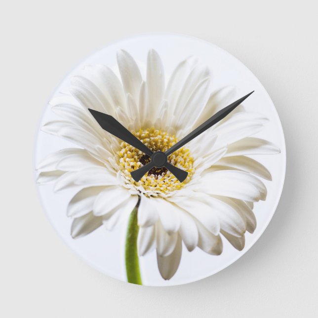 Relógio Redondo Feche acima da cabeça de flor do Gerbera (Frente)