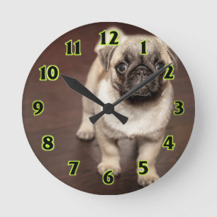 Relógio Redondo Filhote de cachorro do Pug