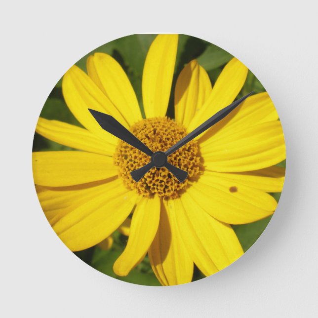 Relógio Redondo Flor amarelo com folhas verdes (Frente)