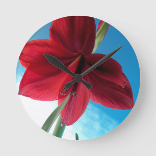 Relógio Redondo Flor de Amaryllis vermelho vívido