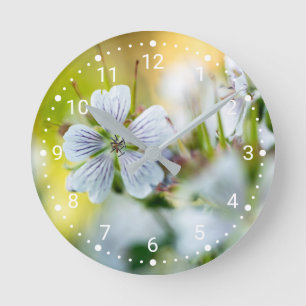 Relógio Redondo Flor de Gerânio Branco Decorativa Foto com Bokeh S