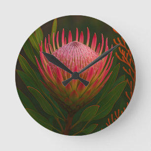 Relógio Redondo Flor de Protea Rosa Exótica em Flor