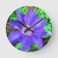 Flor do Clematis roxo