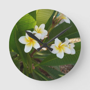 Relógio Redondo Flores Fragrantes Frangipani