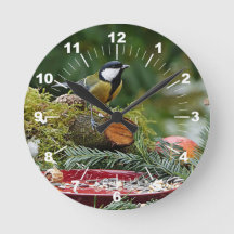 Foto Colorida do Pino Vermelho do Pássaro