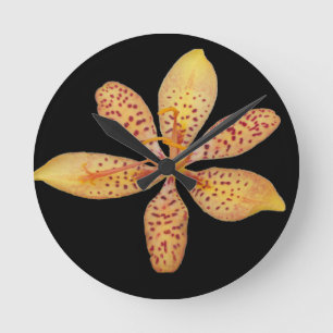 Relógio Redondo Foto de um Blackberry Lily laranja leve em um