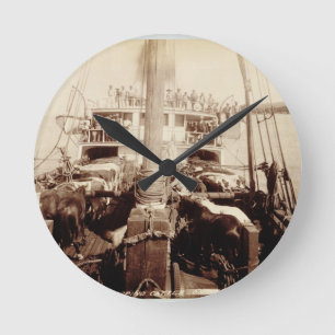 Relógio Redondo Gado do transporte no "W.G. Salão", Havaí, 1890s